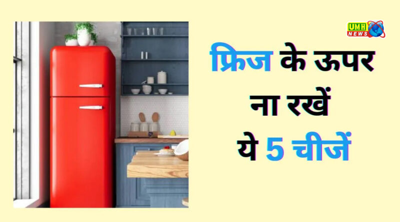 घर में फ्रिज के ऊपर न रखें ये 5 चीजें, नाराज हो जाएंगी मां लक्ष्मी! परेशानियों का लग सकता अंबार