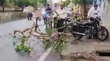 बुलंदशहर में तेज आंधी और बारिश: पेड़ और बिजली के खंभे गिरे