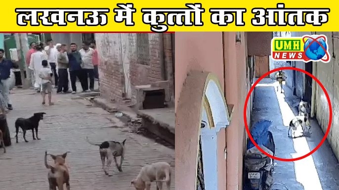 लखनऊ में आवारा कुत्तों ने बच्चों को नोचा, नगर निगम लापरवाह
