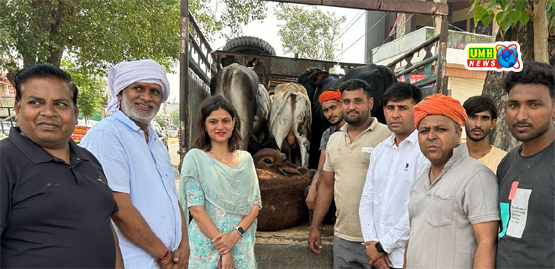 Khairthal: “Shelter campaign for destitute cows” regarding cows in the district.