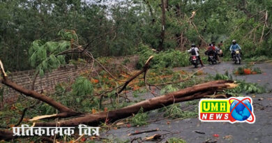 भिवाड़ी : आंधी व तूफान से बिजली के पोल व पेड गिरे