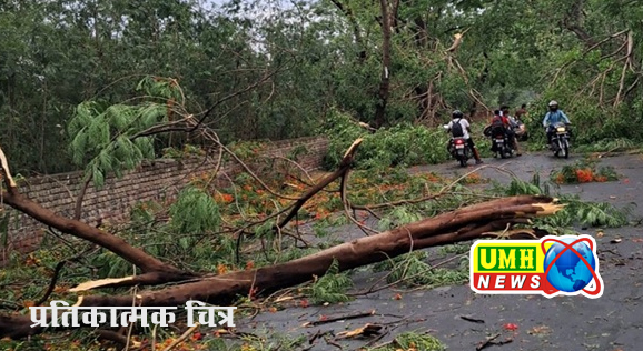 भिवाड़ी : आंधी व तूफान से बिजली के पोल व पेड गिरे