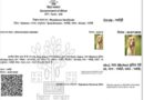 डॉग बाबू' निवास प्रमाण पत्र मामला : राजस्व अधिकारी और IT सहायक पर बड़ी कार्रवाई