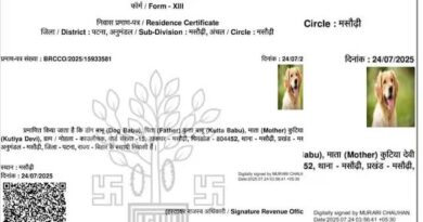 डॉग बाबू' निवास प्रमाण पत्र मामला : राजस्व अधिकारी और IT सहायक पर बड़ी कार्रवाई