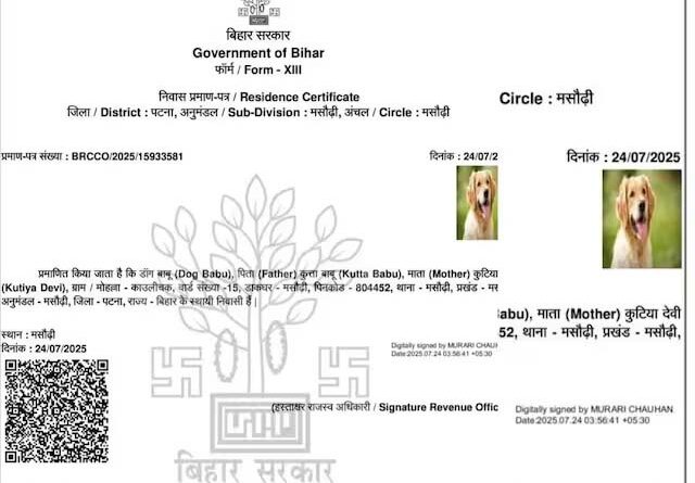 डॉग बाबू' निवास प्रमाण पत्र मामला : राजस्व अधिकारी और IT सहायक पर बड़ी कार्रवाई