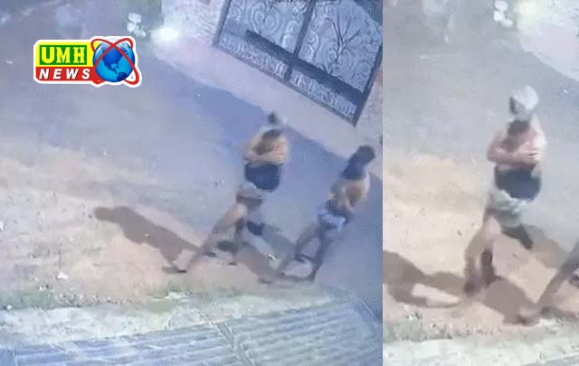 झांसी : कच्छाधारी गैंग ने जमींदार के बंगले से 1.5 किग्रा. सोना किया चोरी, जर्मन शेफर्ड डॉग को किया बेसुध