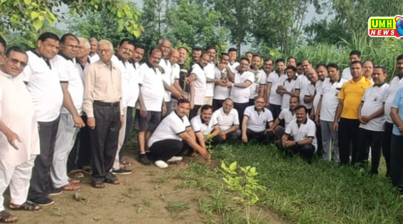 श्री गोपाल संकीर्तन मंडल एवं दिव्य जीवन संघ ने 120 पौधे रोपित किए
