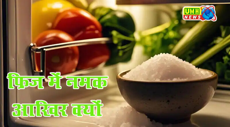 बारिश में फ्रिज में नमक से भरी कटोरी क्यों रख रहे हैं लोग?