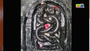 हजारों श्रद्धालुओं ने किया कालिया देव नाथ के दर्शन, नाग पंचमी पर उमड़ा जनसैलाब