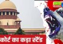सुप्रीम कोर्ट ने खुद लिया संज्ञान : आवारा कुत्तों की वजह से बुजुर्गों-बच्चों की हो रही मौत