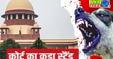 सुप्रीम कोर्ट ने खुद लिया संज्ञान : आवारा कुत्तों की वजह से बुजुर्गों-बच्चों की हो रही मौत