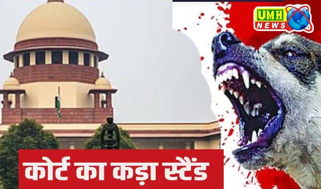 सुप्रीम कोर्ट ने खुद लिया संज्ञान : आवारा कुत्तों की वजह से बुजुर्गों-बच्चों की हो रही मौत