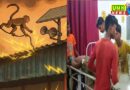 UP- बाराबंकी के अवशानेश्वर मंदिर में भगदड़, 2 की मौत, 29 घायल