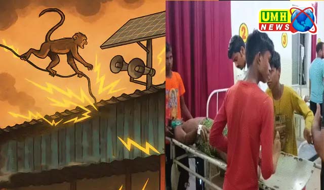 UP- बाराबंकी के अवशानेश्वर मंदिर में भगदड़, 2 की मौत, 29 घायल