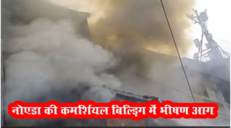 नोएडा : सेक्टर-10 की कमर्शियल बिल्डिंग में भीषण आग
