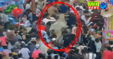 Sambhal: Bull entered Chehallum procession, kicked and thrashed, 12 injured
