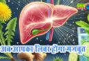 लिवर को हेल्दी रखने का 99% असरदार तरीका!, शुरू करें ये 5 चीजें