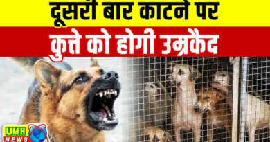 UP News: दूसरी बार काटने पर कुत्ते को होगी उम्रकैद