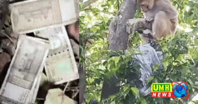 प्रयागराज में बंदर ने लुटाए 500-500 के नोट
