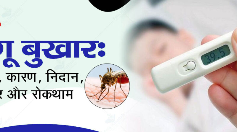 डेंगू का इलाज ! लक्षण दिखने पर घबराएं नहीं, डॉक्टर से जानें रिकवरी के टिप्स