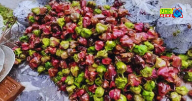 कम मेहनत, तीन महीने में लाखों का मुनाफा... सिंघाड़े की खेती..