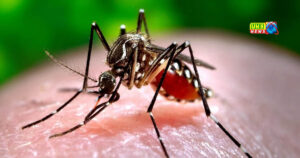 खुर्जा। मच्छरों का प्रकोप लगातार बढ़ रहा, स्थानीय लोग परेशान