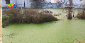 बालाजी मंदिर के बाहर भरा पानी मच्छरों का प्रकोप