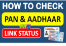 31 दिसंबर के बाद कूड़ा हो जाएंगे ये वाले PAN कार्ड, आप वाले का क्‍या है स्टेटस, ऐसे करें चेक