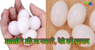 बिक रहे नकली Eggs, 10 वॉर्निंग संकेतों से करें सड़े अंडों की पहचान