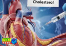 1 इंजेक्शन से जिंदगी भर के लिए धमनियों में चिपके कोलेस्ट्रॉल की छुट्टी