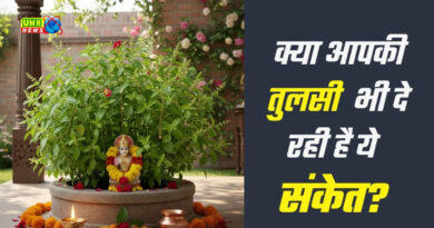 क्या तुलसी सच में देती हैं आने वाले संकटों के संकेत?