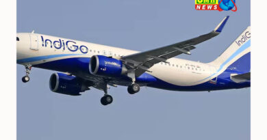 वाराणसी : इंडिगो फ्लाइट की बर्ड हिट के बाद आपात लैंडिंग