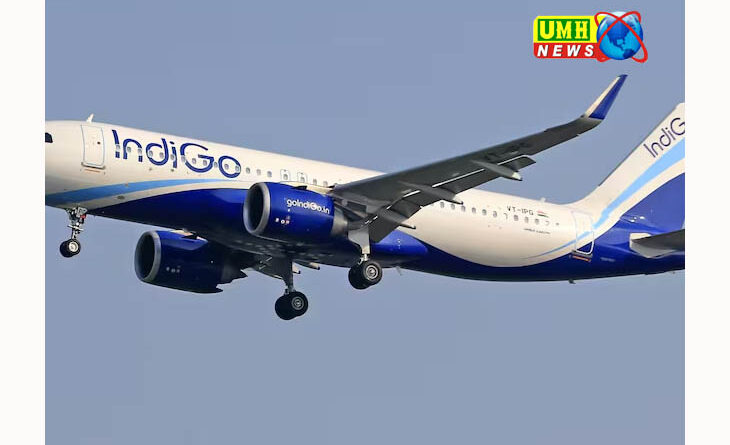 वाराणसी : इंडिगो फ्लाइट की बर्ड हिट के बाद आपात लैंडिंग