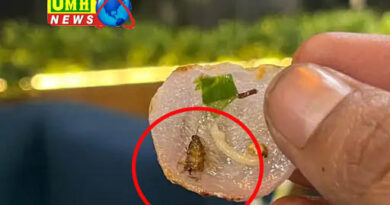 Lucknow: Cockroach found in noodles of robot restaurant