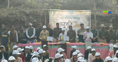 धरमपुर : अनुभूति नेचर कैंप का हुआ आयोजन