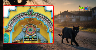 बिल्ली को देवी मानकर पूजते हैं लोग, जानें