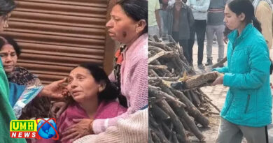 उन्नाव : क्रिकेट मैच में मधुमक्खियों का हमला, अंपायर की मौत