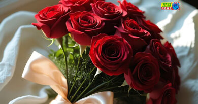आखिर गुलाब के साथ ही क्यों शुरू होता है प्यार का हफ्ता? 
