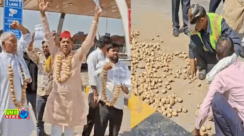 गले में आलू माला डाल, रोड पर फैला दिए, यमुना एक्सप्रेस-वे पर सपा का प्रदर्शन