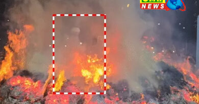 मथुरा में जलती होलिका से निकला पंडा, विदेशी देखकर हैरान