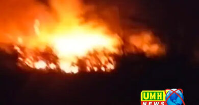  खुर्जा में जंगल में लगी भीषण आग, दमकल ने कड़ी मशक्कत के बाद पाया काबू