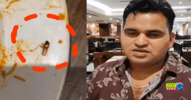 Gorakhpur: Cockroach found in biryani, restaurant closed