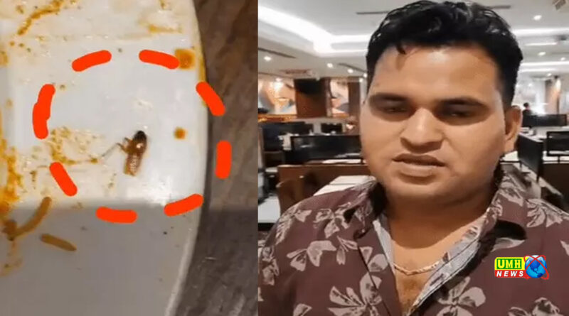 Gorakhpur: Cockroach found in biryani, restaurant closed