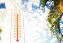 लू जैसी गर्म हवा के थपेड़े, 38 डिग्री पार जा सकता है तापमान
