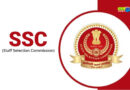 SSC Sarkari Naukri: 10वीं,12वीं से लेकर ग्रेजुएट तक के लिए मौका