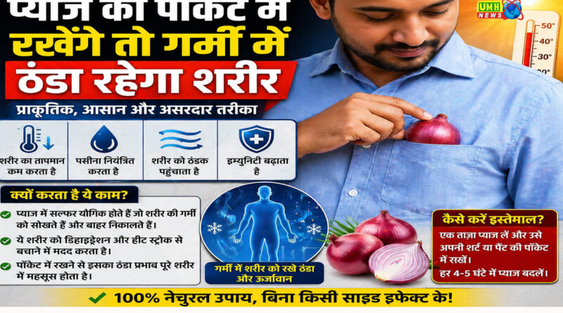 प्याज को पॉकेट में रखेंगे तो गर्मी में ठंडा रहेगा शरीर