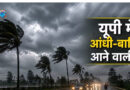 UP Storm News: IMD's orange alert in these districts of UP till May 31