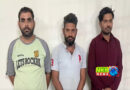 भीलवाड़ा पुलिस का बड़ा खुलासा : पहले करवाते थे बीमा, फिर करंट लगाकर लेते थे जान!