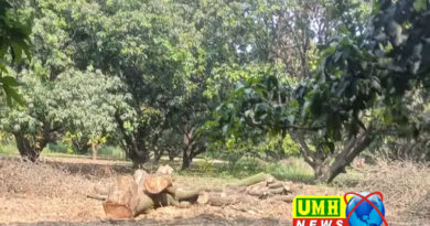 Bulandshahr: Illegal cutting of fruit trees, video goes viral