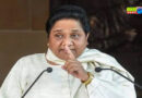 Mayawati said- Brahmins are unsafe in UP, government should improve law and order.
